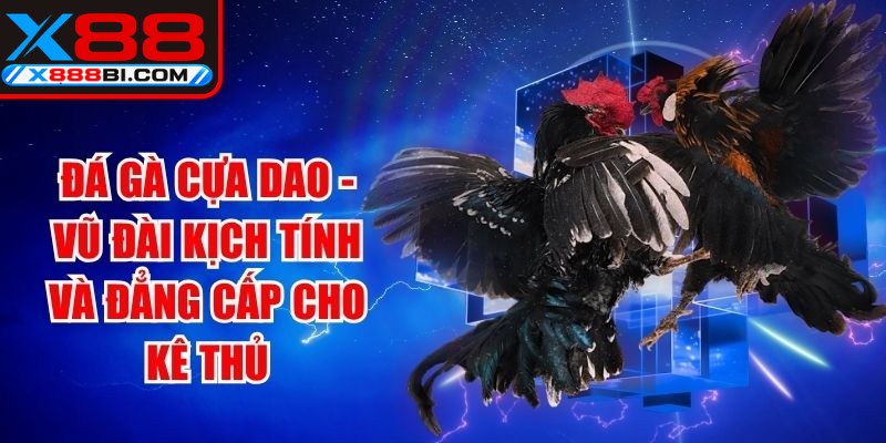 Đá Gà Cựa Dao