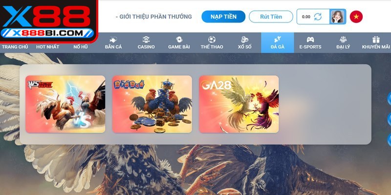 Đá gà X88 hiện đang trở thành sân chơi cá cược trực tuyến bùng nổ hàng đầu